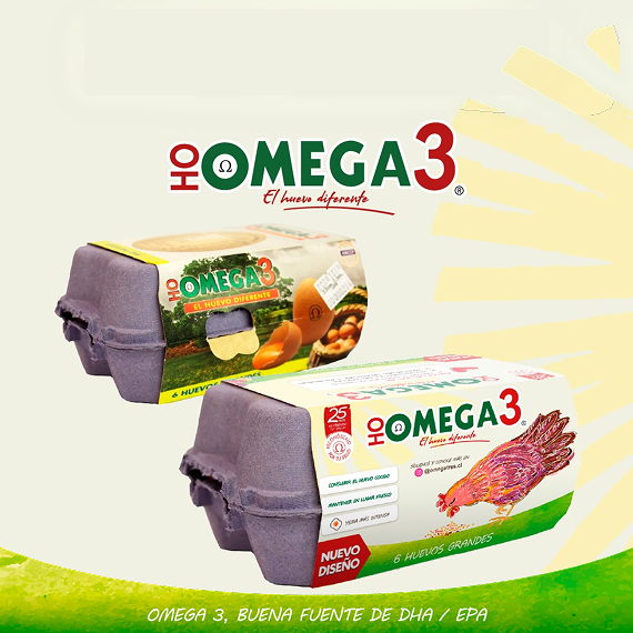 Huevo Omega 3 Grande 6 unidades