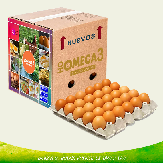 Huevo Omega 3 Grande 6 unidades