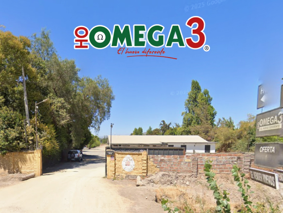 Sala de Ventas en Peñaflor