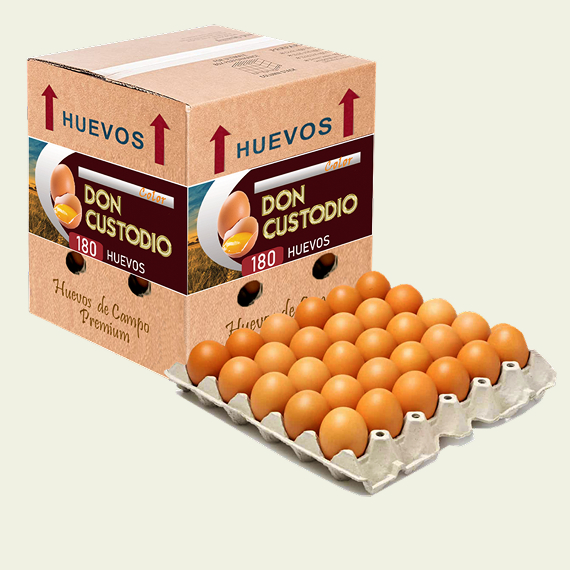 Huevo Omega 3 Grande 6 unidades